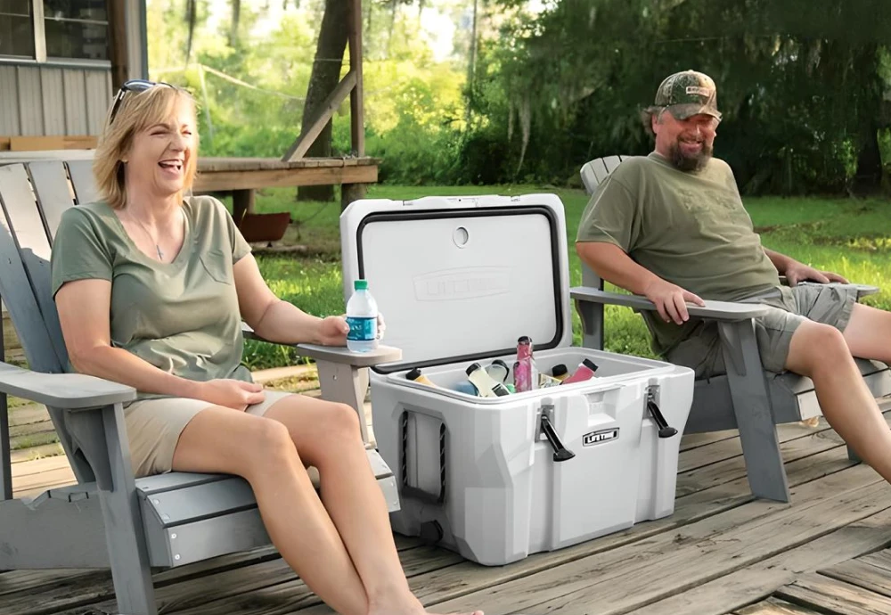 portable cool box fridge