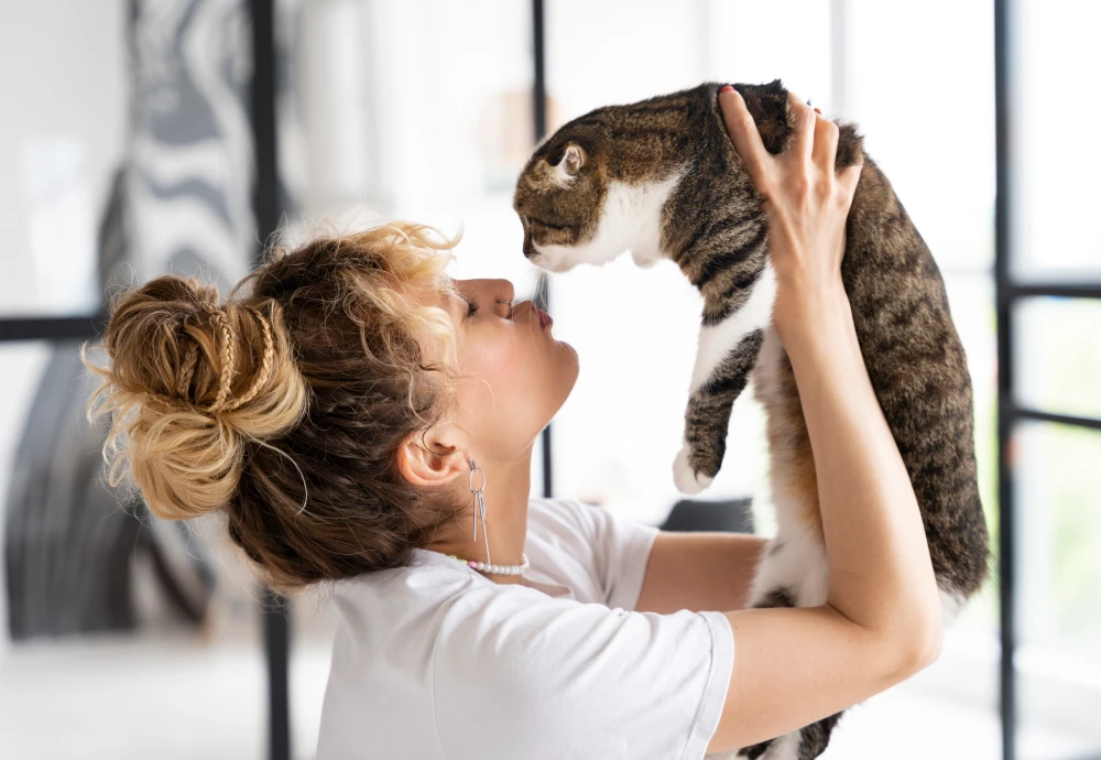 camera to watch pets while away