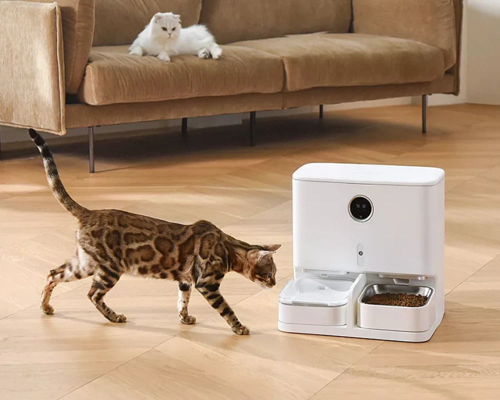 automatic pet feeding station