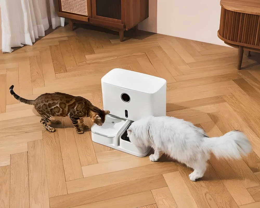 pet feeder automatic